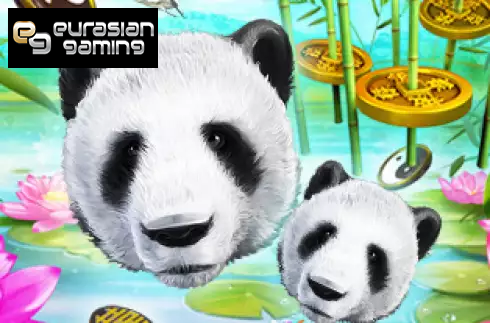 Wild Giant Panda